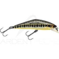 Poisson nageur SMITH D Contact 50 AV