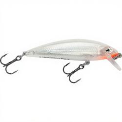 Poisson nageur RAPALA X Rap countdown 05 GGH