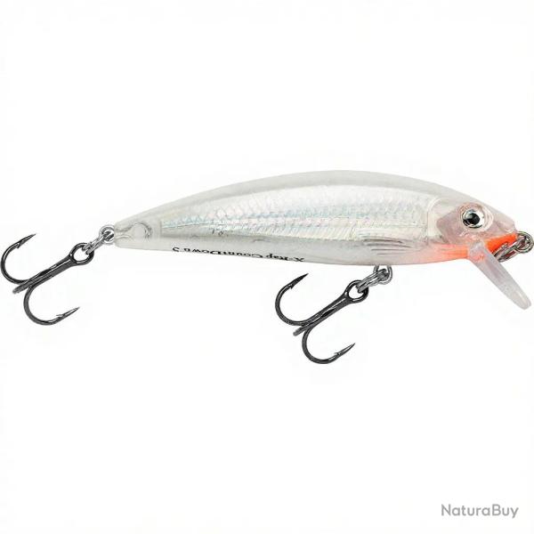 Poisson nageur RAPALA X Rap countdown 05 GGH