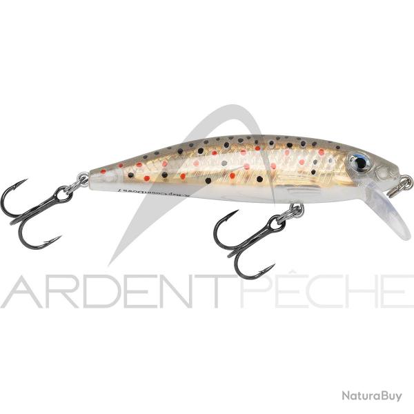 Poisson nageur RAPALA X Rap countdown 05 Brown trout TR