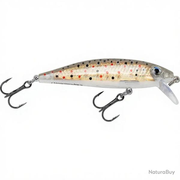 Poisson nageur RAPALA X Rap countdown 05 Brown trout TR