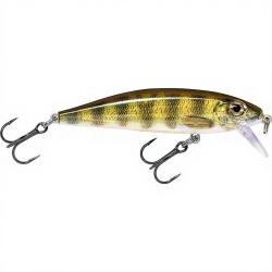 Poisson nageur RAPALA X Rap countdown 05 PEL