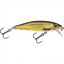 Poisson nageur RAPALA X Rap countdown 05 TRL