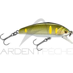 Poisson nageur SMITH D Incite 44 08