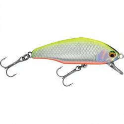 Poisson nageur SMITH D Incite 44 10