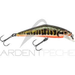 Poisson nageur SMITH D Contact 85 Vairon 1