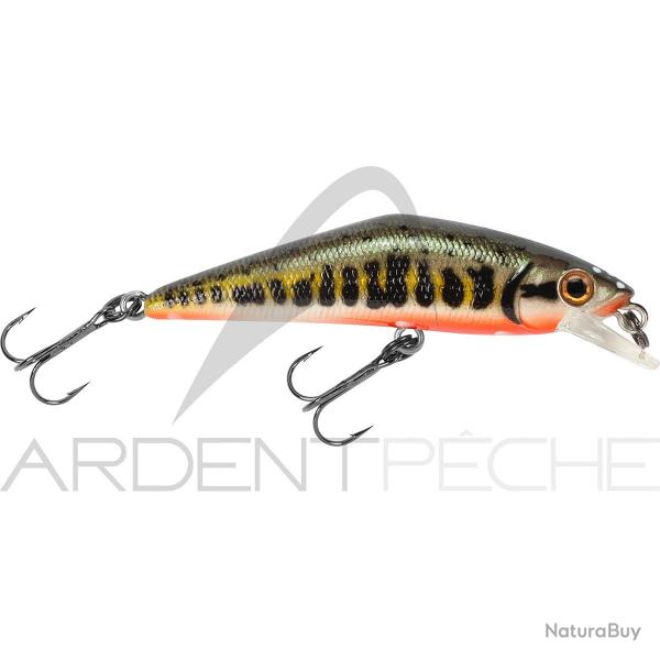 Poisson nageur SMITH D Contact 85 Vairon 1