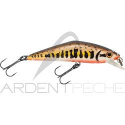 Poisson nageur SMITH D Contact 85 Vairon 2