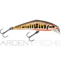 Poisson nageur SMITH D Contact 85 Vairon 2