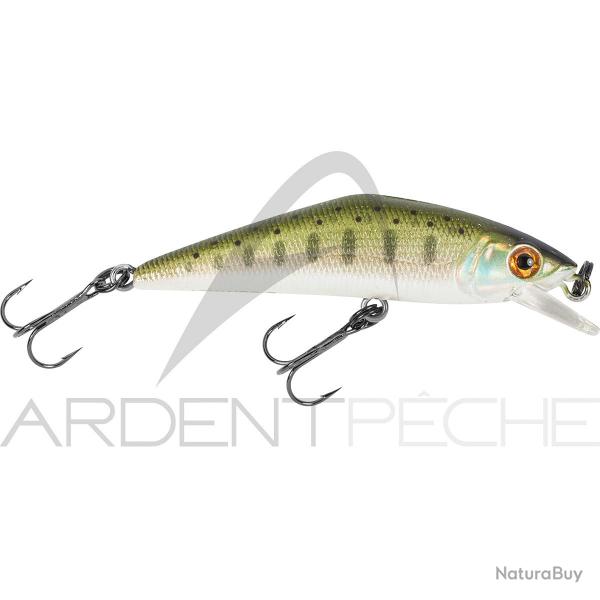 Poisson nageur SMITH D Contact 63 03