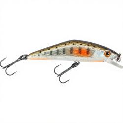 Poisson nageur SMITH D Contact 63 33