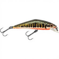 Poisson nageur SMITH D Contact 63 Vairon 1