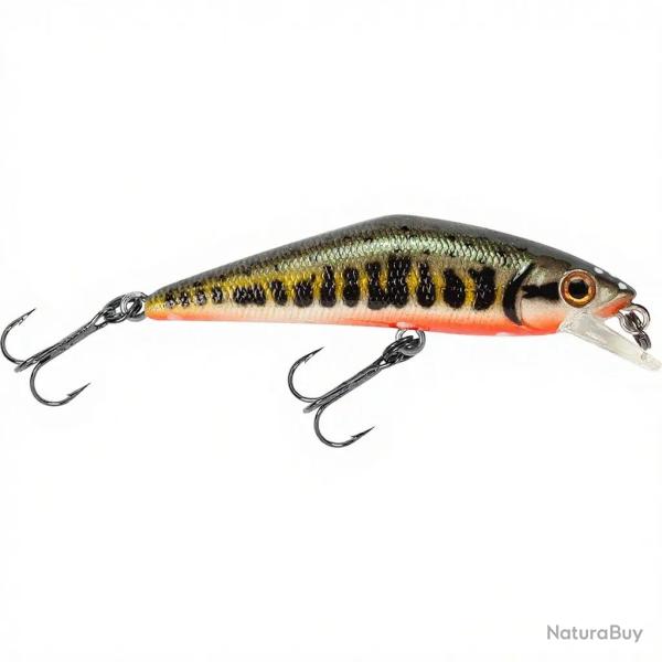 Poisson nageur SMITH D Contact 63 Vairon 1