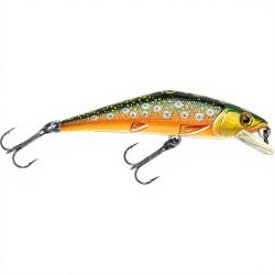 Poisson nageur SMITH D Contact 63 T4