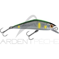 Poisson nageur SMITH D Contact 63 47