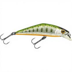 Poisson nageur SMITH D Contact 63 51