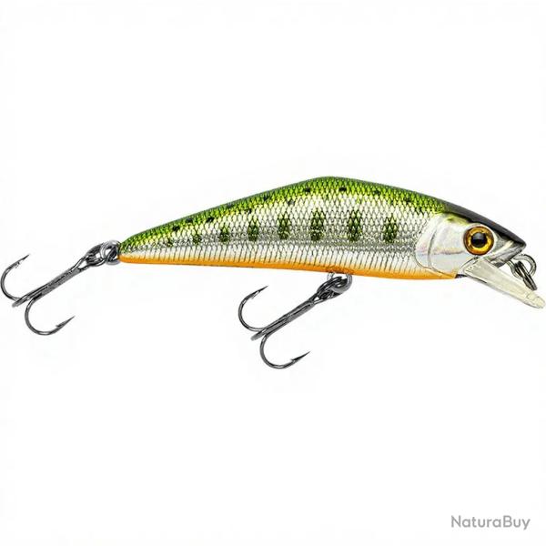 Poisson nageur SMITH D Contact 63 51