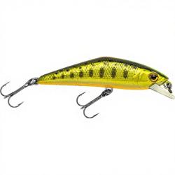 Poisson nageur SMITH D Contact 63 52