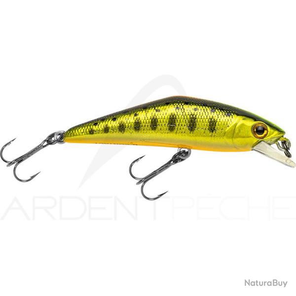 Poisson nageur SMITH D Contact 63 52