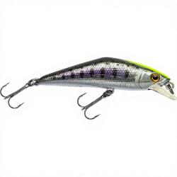 Poisson nageur SMITH D Contact 63 53