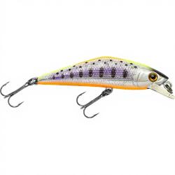 Poisson nageur SMITH D Contact 63 54