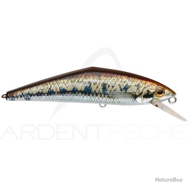 Poisson nageur SMITH D Contact 63 V4