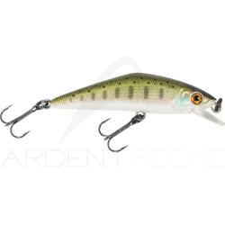 Poisson nageur SMITH D Contact 72 03