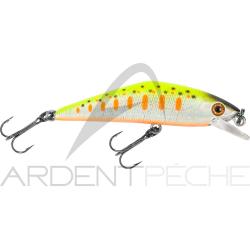 Poisson nageur SMITH D Contact 72 32