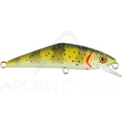 Poisson nageur SMITH D Contact 72 T1