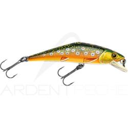 Poisson nageur SMITH D Contact 72 T4