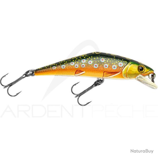 Poisson nageur SMITH D Contact 72 T4