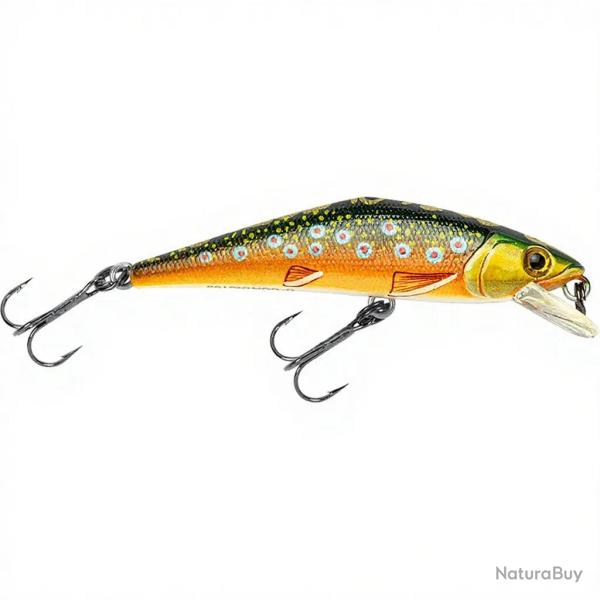 Poisson nageur SMITH D Contact 72 T4