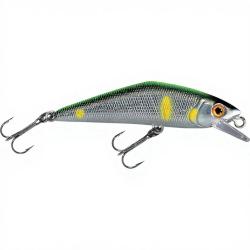 Poisson nageur SMITH D Contact 72 47