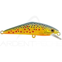 Poisson nageur SMITH D Contact 72 T5 Atl Fario