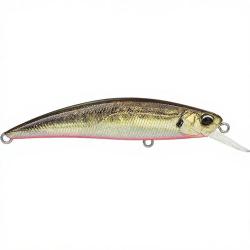 Poisson nageur DUO Spearhead ryuki 80 S ANAZ334 Real aji RB