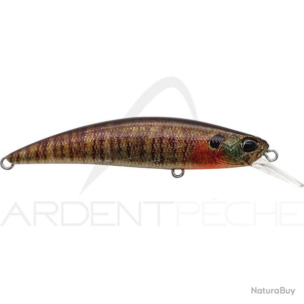 Poisson nageur DUO Spearhead ryuki 80 S CCC3357 True gill