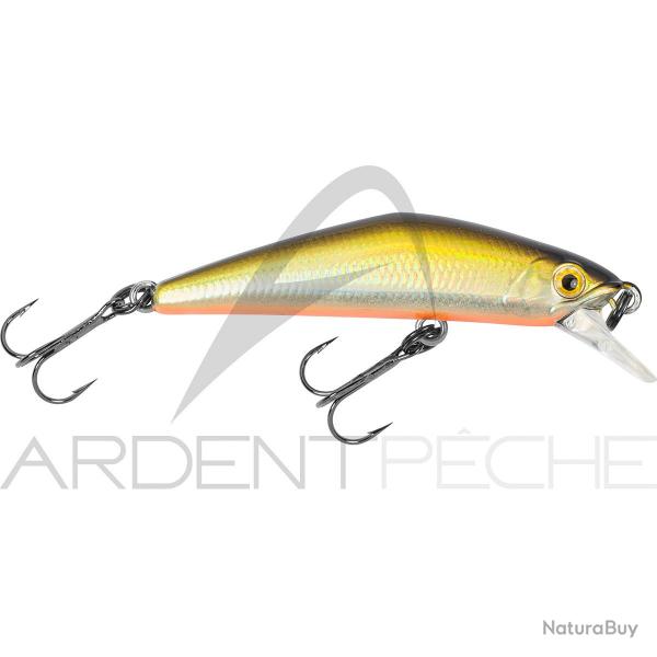 Poisson nageur SMITH D Compact 45 04