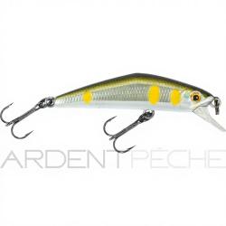 Poisson nageur SMITH D Compact 45 08
