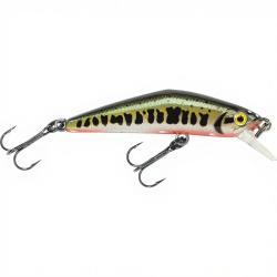 Poisson nageur SMITH D Compact 45 Vairon 1