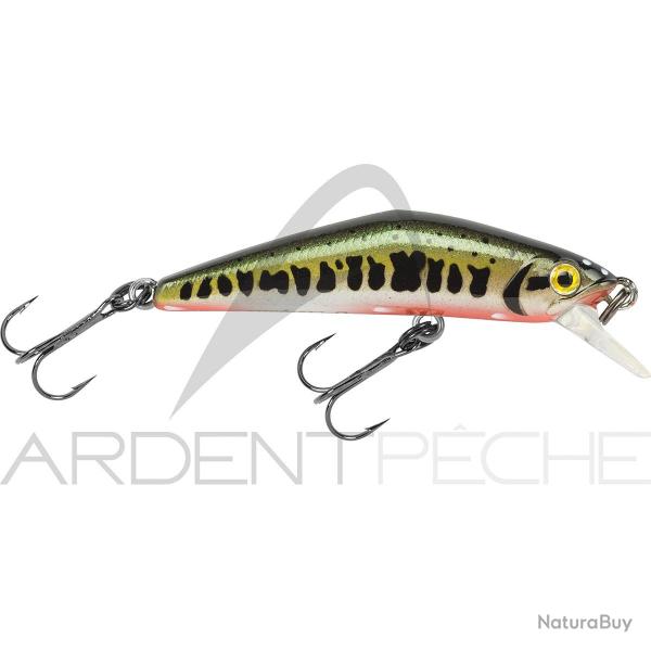 Poisson nageur SMITH D Compact 45 Vairon 1