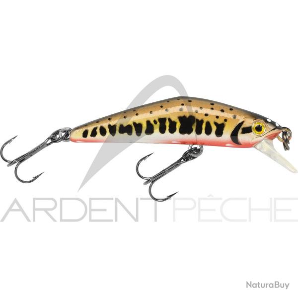 Poisson nageur SMITH D Compact 45 Vairon 2