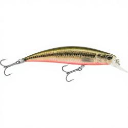 Poisson nageur DUO Spearhead ryuki 70 S ACC4830 Vairon / green black red belly