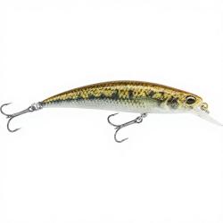 Poisson nageur DUO Spearhead ryuki 70 S ACCZ114 Goujon