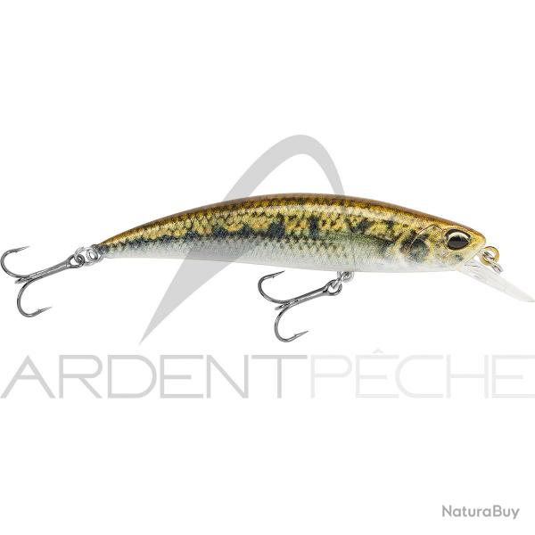Poisson nageur DUO Spearhead ryuki 70 S ACCZ114 Goujon
