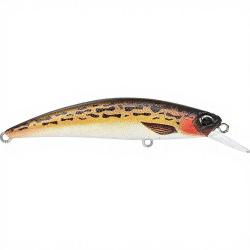 Poisson nageur DUO Spearhead ryuki 70 S ACCZ283 Brown gobie