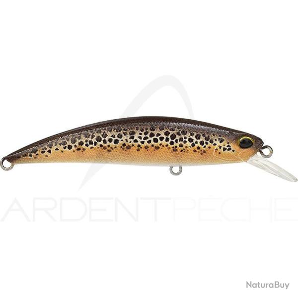 Poisson nageur DUO Spearhead ryuki 70 S CCCZ432 Fario UV