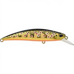 Poisson nageur DUO Spearhead ryuki 70 S ASAZ443 Gold fario
