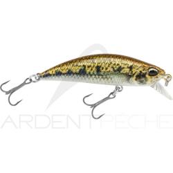 Poisson nageur DUO Spearhead Ryuki 50 F ACCZ114 Goujon
