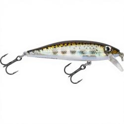 Poisson nageur RAPALA X Rap countdown 07 MD