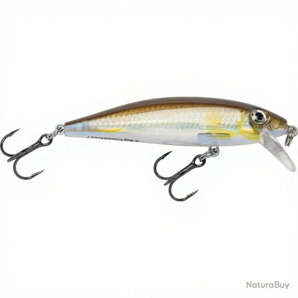Poisson nageur RAPALA X Rap countdown 07 AYU